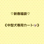 犬服　♡新春福袋販売のお知らせ♡