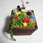 オーダー品　ウッドポットに多肉アレンジ（樹脂粘土）