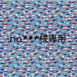 ha***様専用 2❤リバティ　レッスンバッグ＆座布団カバー❤　カーズ