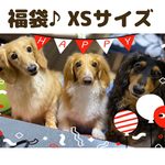 犬服　♡新春福袋販売のお知らせ♡