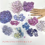 紫陽花祭り　ドライフラワー　アジサイセット　スタイルK