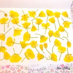 ♡new♡作家様必見♡ ♡可愛い菜の花の押し花セット♡