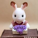 【新色】ミニチュア 花壇(芝桜)パープル