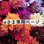 eさま専用ページ