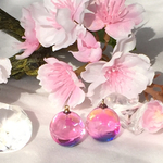 🌸夜桜🌸