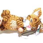 ねこ・・・・こぶ茶ちゃん