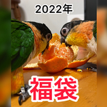 2022年　初売り福袋
