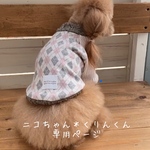 ニコちゃん＊くりんくん専用ページ