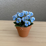 パンジー　花鉢　