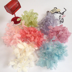 プリザーブドフラワー紫陽花☆７色ミックス☆花びら