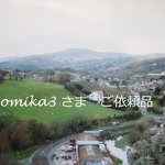 omika3 さま　ご依頼品