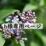 bさま専用ページ