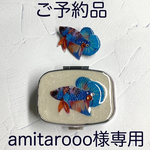 ※※※  amitarooo 様専用出品です　※※※※※