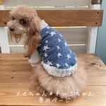 メイちゃん、チャコちゃん専用ページ