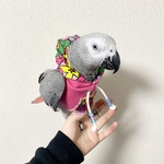 ピンク花柄パーカー