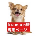 専用ページ