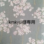 kmkyui様専用です
