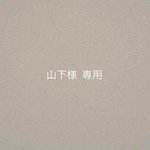 山下様専用　単品チップ2本