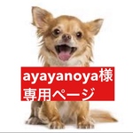 専用ページ