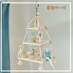 専用ページ　空中ピラミッド