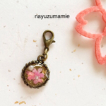 ＊桜＊ぷっくりレジン∞ファスナーチャーム【4】