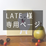【Late 様専用】