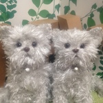 ふわもこ CATS あみぐるみ　ペルシャnanbusenbei様用