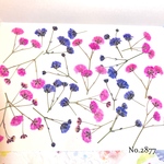 ♡new♡作家様必見♡ ♡カラフルなかすみ草♡押し花セット