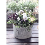 【送料無料】FARMERS Bucket シエルブリエの寄せ植え