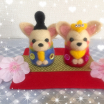 春のチワワのふわふわお雛様人形🌸