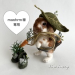 maehrm様専用 オーダーうちのこシリーズ 着せ替えウサギ 