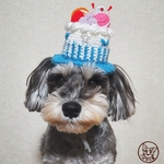 ~しゅう、様ご予約用~ 🎂誕生日ケーキ帽子🎂