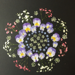押し花  花便り NO.122