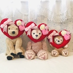 顔出しシリーズ❤︎犬用❤︎ハッピーバレンタイン
