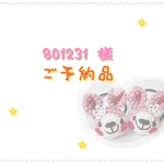 【ご予約品】801231様専用ページ