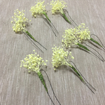 ドライフラワーのかすみ草、イエロー