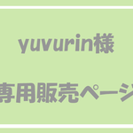 『yuvurin様　専用販売ページ』　マカロングリーンのアクセサリーケース