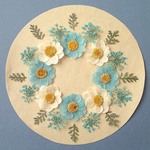 押し花セットB＜組み立てのお花＆レースフラワー＆シルバーレース＞