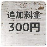 追加料金300円
