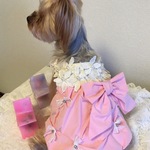 犬服オーダー　　ピンクフラワー　レースドレス