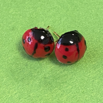 幸せをお知らせするてんとう虫さん🐞のピアス