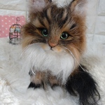 ノルウェージャンフォレストキャットちゃん
