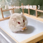 【 motsu-02様専用ページ 】