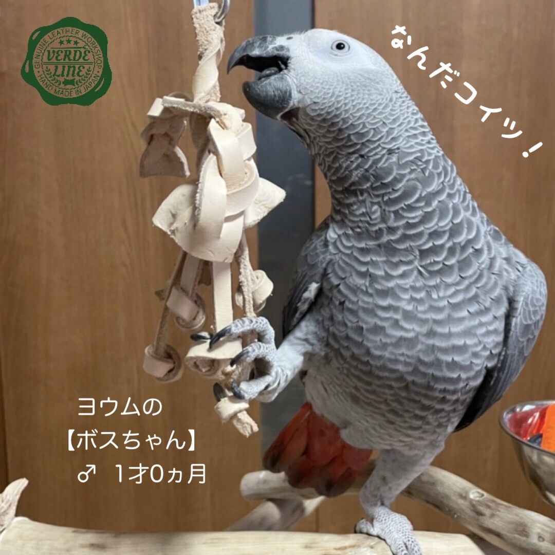 ❤️送料無料【ヨウム大型インコ向け】ハンドメイド鳥のおもちゃ