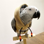 オーダーインコパーカー
