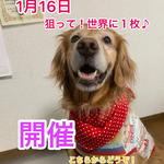 『狙って！世界で1枚♪』  タンクトップ