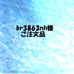 ｂｒ3863ｎｈ様　ご注文品