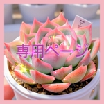 burun-mama18様♡専用ページ♡