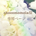 🦜 chocomomola様専用ページ🦜