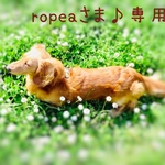 ropeaさま♪専用